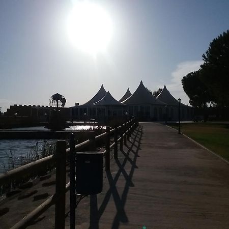 Hotel Vinedos Y Bodegas El Castillo 비야로블레도 외부 사진