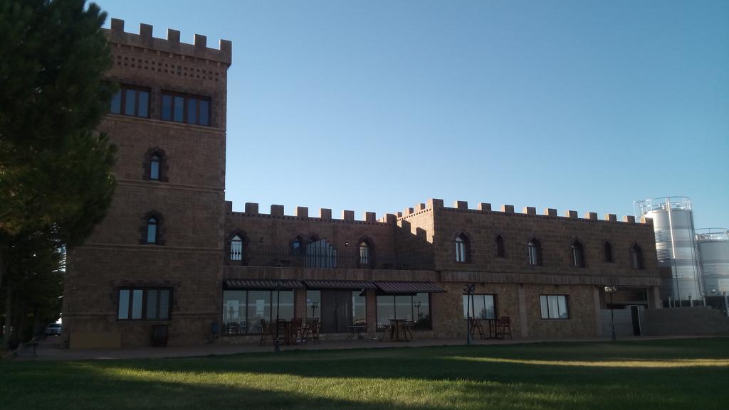 Hotel Vinedos Y Bodegas El Castillo 비야로블레도 외부 사진